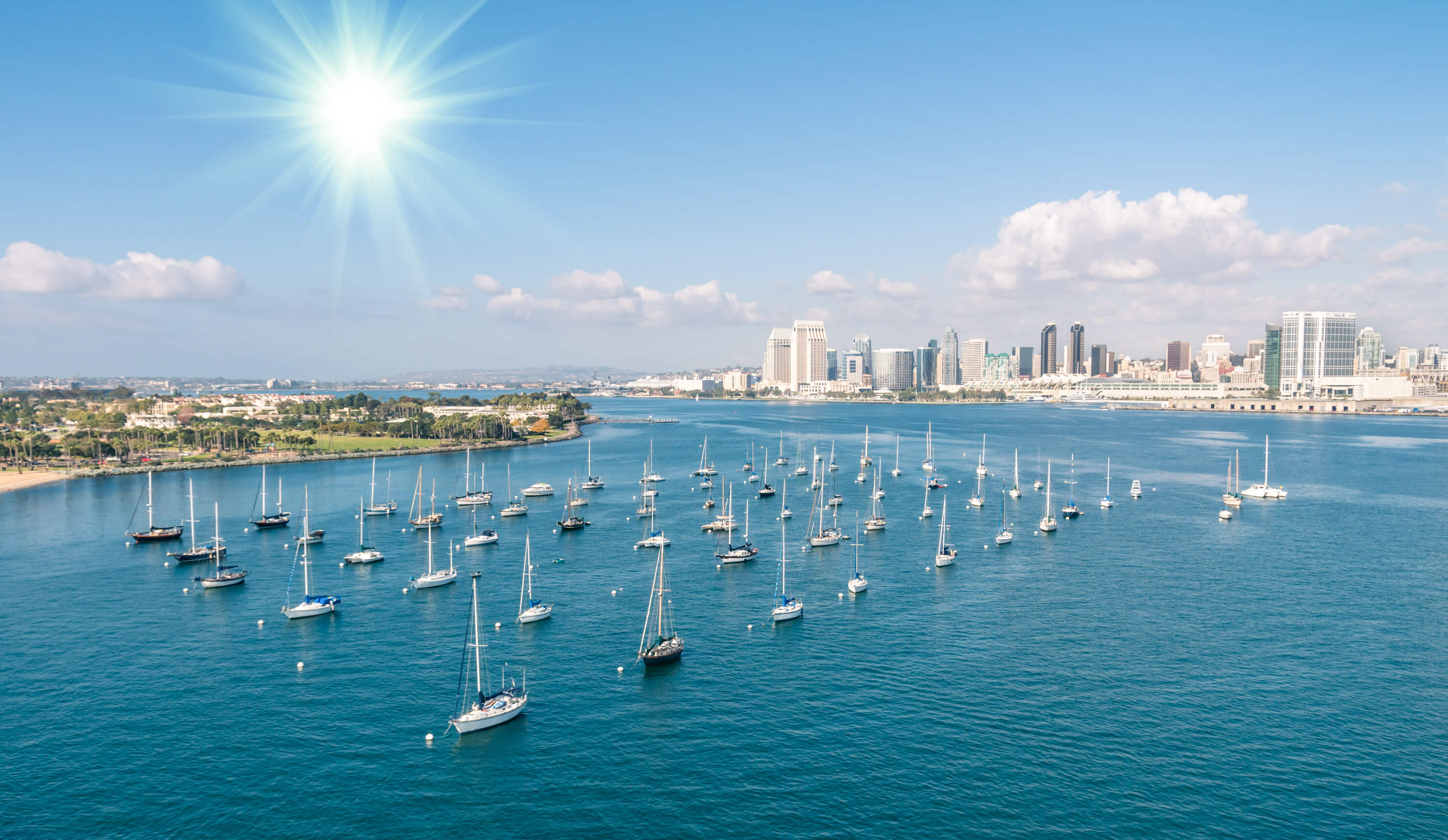 AI Startups in San Diego San Diego